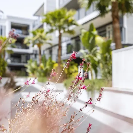 Nova Essential Apartment